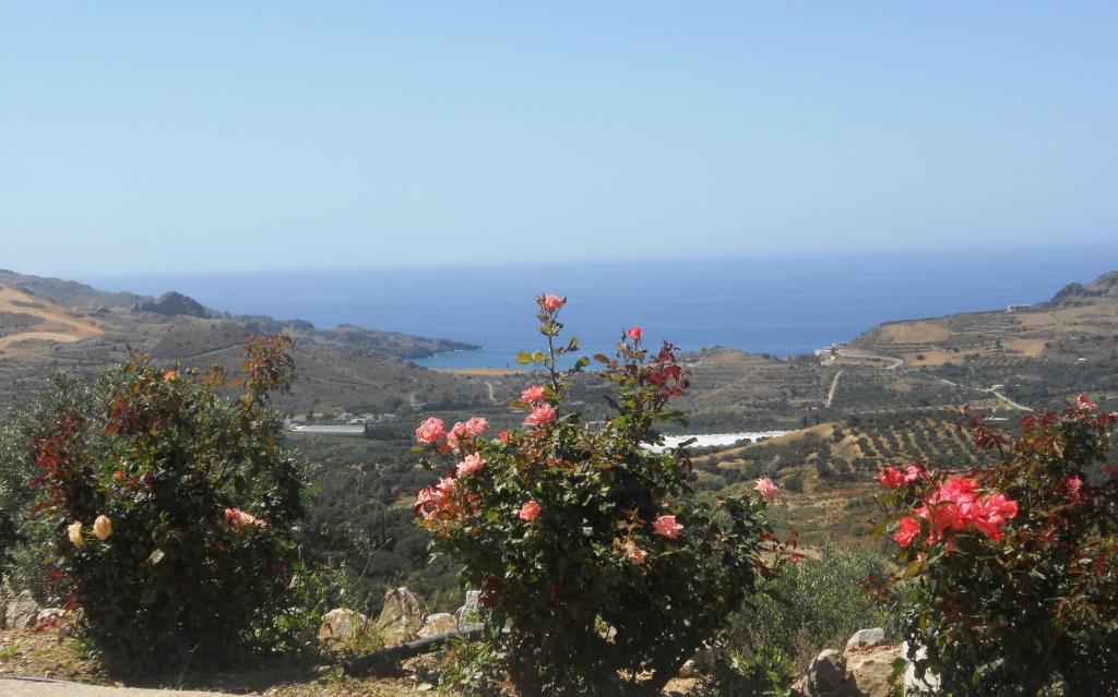 Galini Apartments Plakias Oda fotoğraf