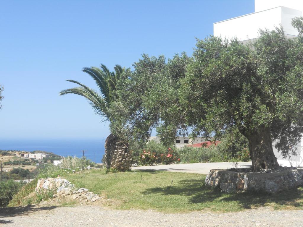 Galini Apartments Plakias Dış mekan fotoğraf