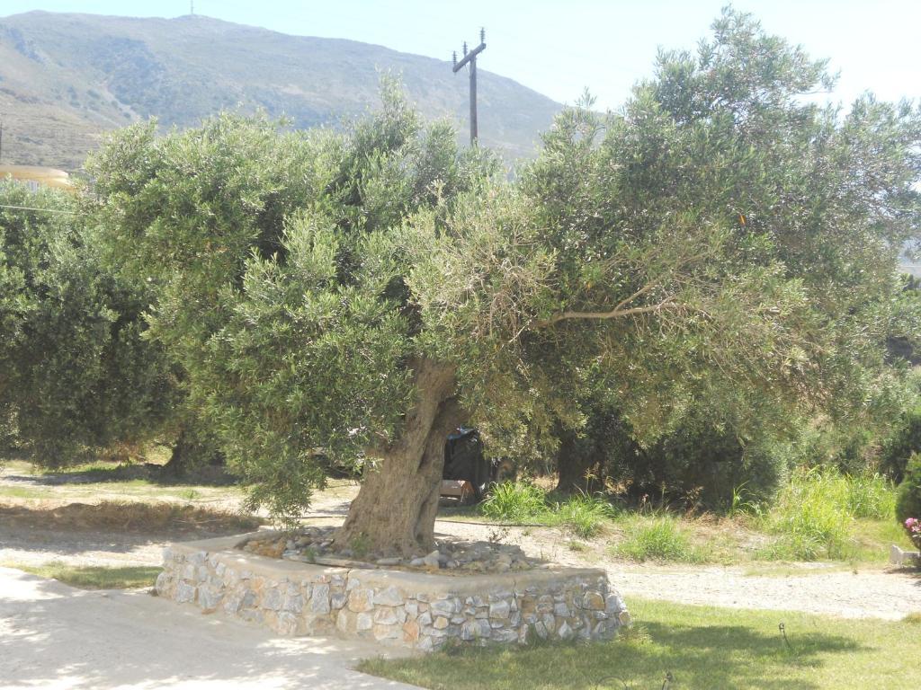 Galini Apartments Plakias Dış mekan fotoğraf